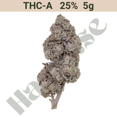 Buds – THCA 25% – Bubbelgum OG – 5 gram