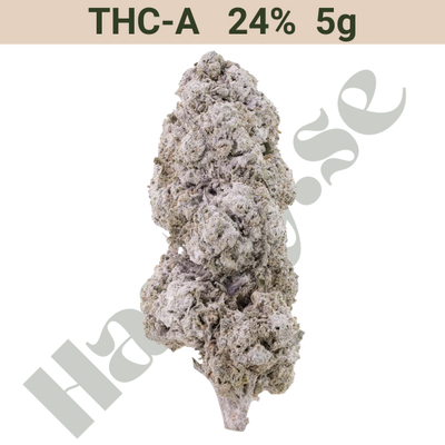 Buds – THCA 24% – Ice indoor – 5 gram