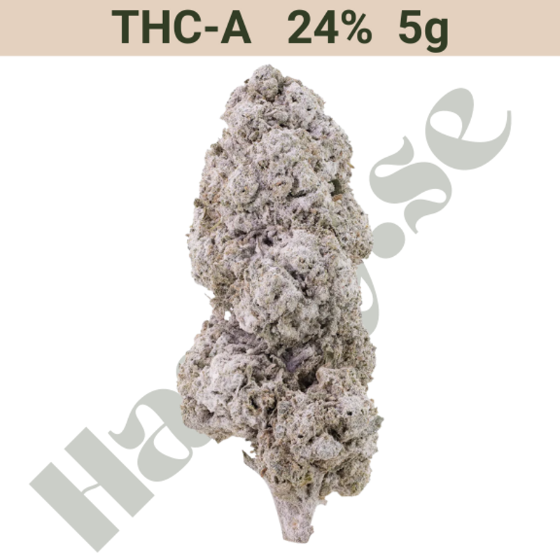 Buds – THCA 24% – Ice indoor – 5 gram