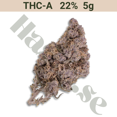 Buds – THCA 22% – Kitty Indoor – 5 gram