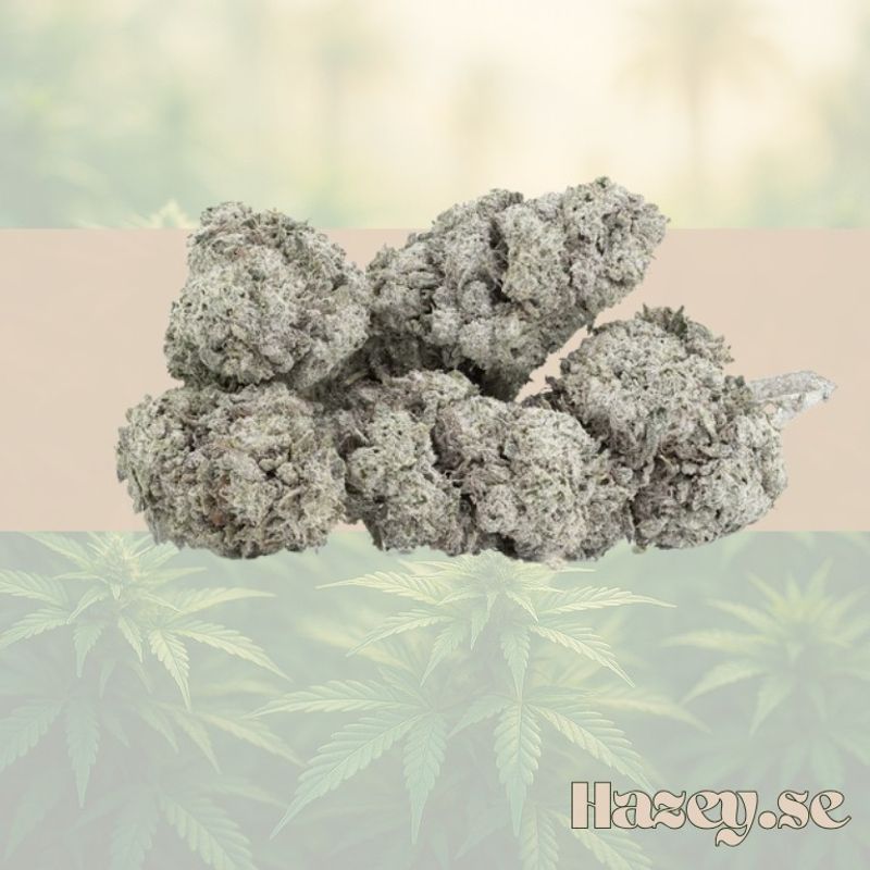 Buds – THCA 23% – Amnesia – 5 gram