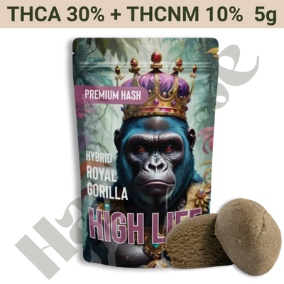 Hash – THCA 30% + THCNM 10% – Royal Gorilla – 5 gram