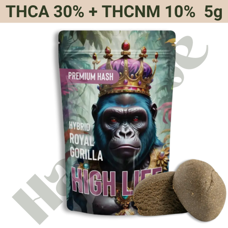 Hash – THCA 30% + THCNM 10% – Royal Gorilla – 5 gram