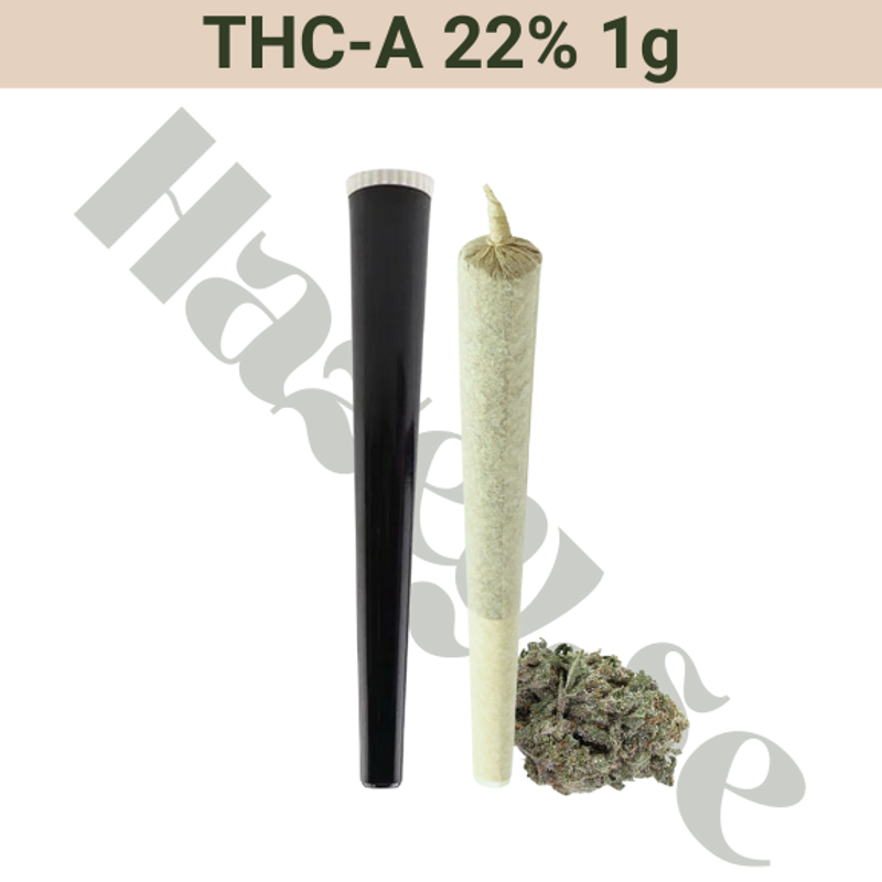 PreRolled – THCA 22% – Bangkok – 1 gram