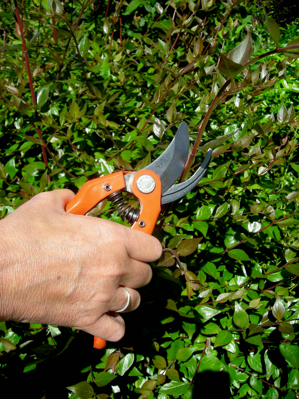 Bahco P121 Sekatör m. Plåthandtag 20cm