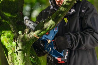 Bosch GKE 18V-20 Grensåg 18V 8"
