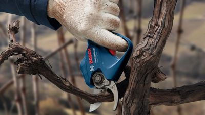 Bosch GGP 12V-25 Sekatör 12V (2x3,0Ah)