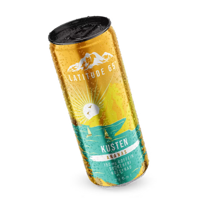 Latitude 65 Kusten 24x330ml Ananas