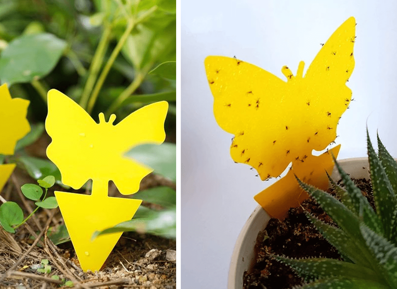 Happy Flower - Dobbeltsidig klebefelle
