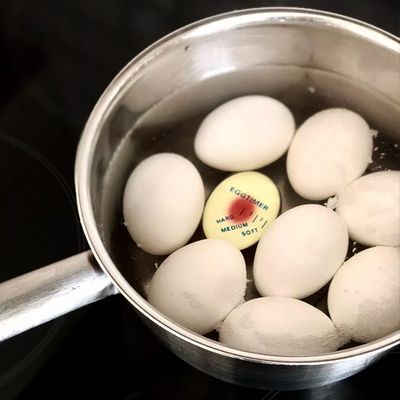 Eggetimer Egg Perfect