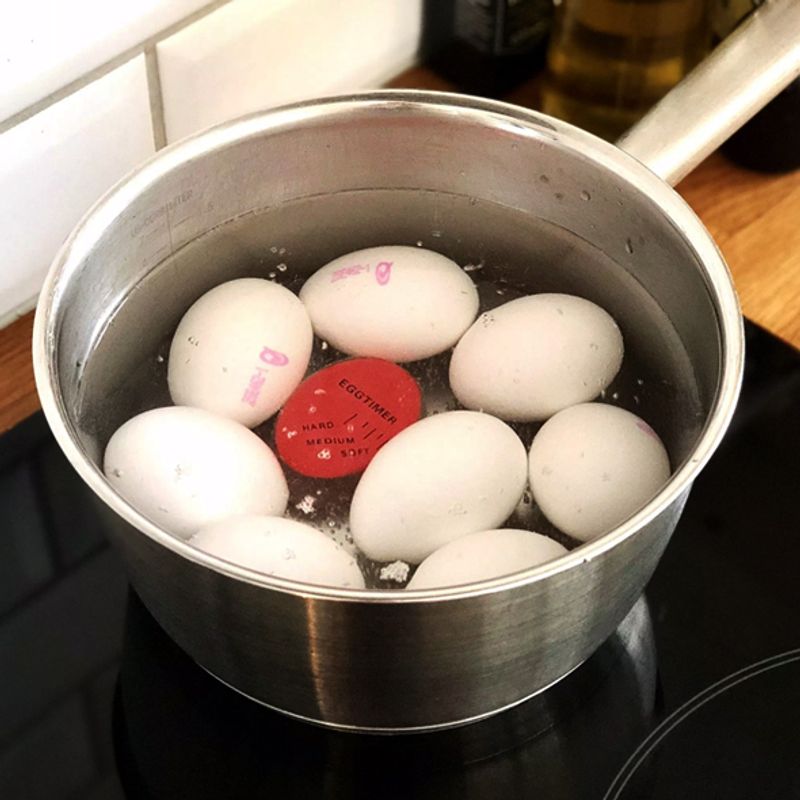 Eggetimer Egg Perfect