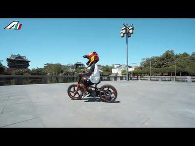 Balanscykel Apollo RFX DNA 12"