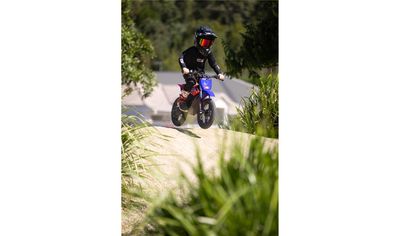 Pitbike Apollo RFN SX-E250