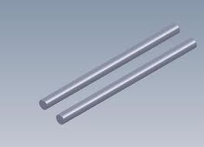 Hinge Pin 4x67mm (2 st). Intech BR-6/BR-6E