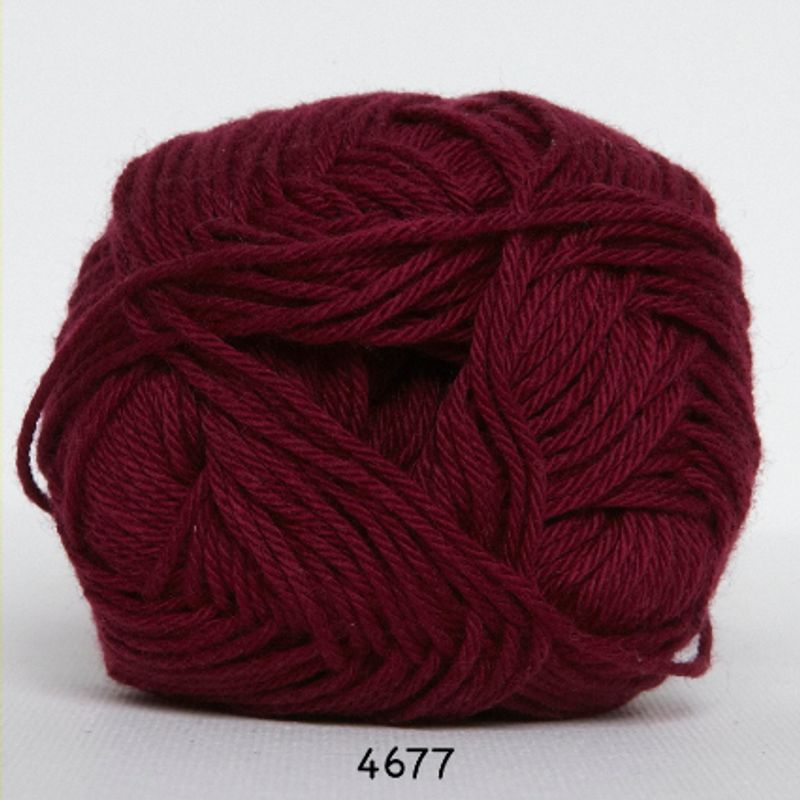 Blend -50 gram/nystan