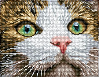 DIAMOND DOTZ DD6.029 "Green Eyed Beauty"