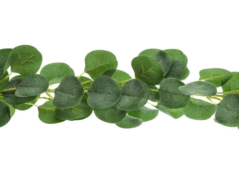 Girlang, Eukalyptus