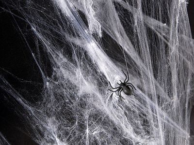 Vit spindelväv Halloween