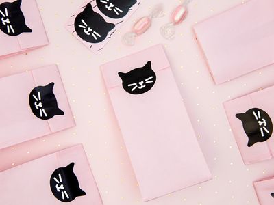 Godispåse, katt, 6-pack
