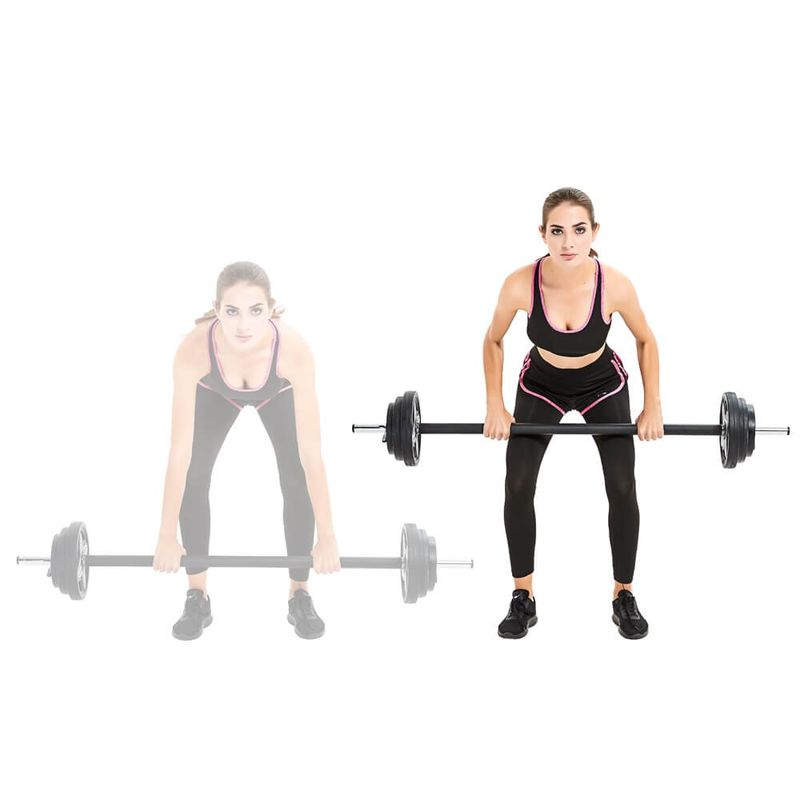 Pumpstar barbell and weights 2-19,5 kg