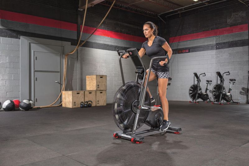 Schwinn Airdyne AD8