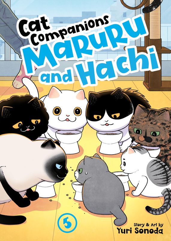 CAT COMPANIONS MARURU AND HACHI VOL. 5
