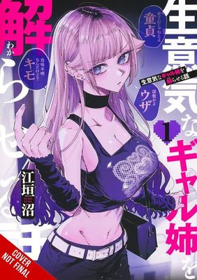 HOW TO HANDLE MY SASSY BIG SIS TP VOL 01 