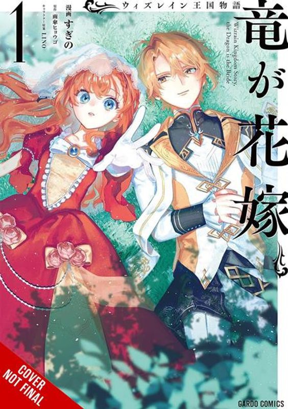 TALE OF THE WIZRAIN KINGDOM THE DRAGON IS THE BRIDE TP VOL 01