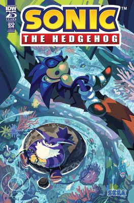 SONIC THE HEDGEHOG ANNUAL 2024 ONESHOT CVR B FOURDRAINE