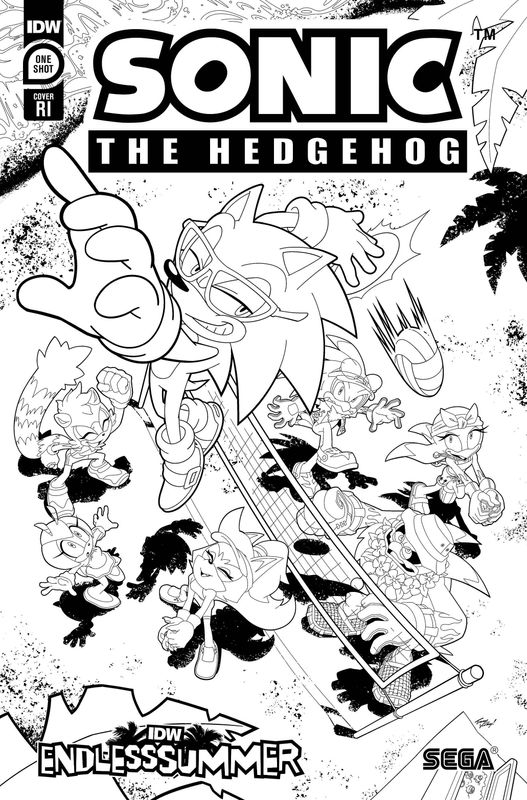 IDW ENDLESS SUMMER SONIC THE HEDGEHOG CVR C 10 COLORING BOOK