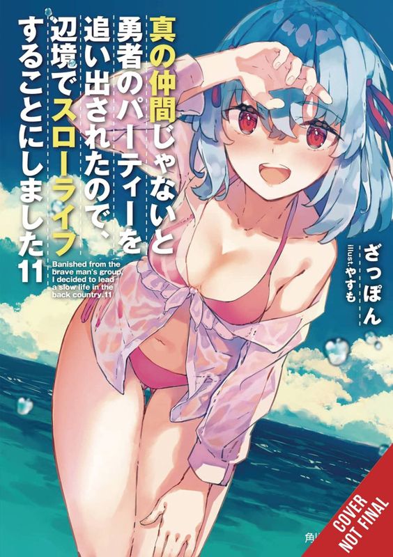 BANISHED HEROES PARTY QUIET LIFE COUNTRYSIDE NOVEL SC VOL 11