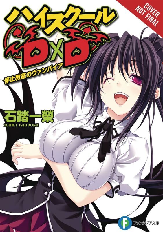 HIGH SCHOOL DXD LIGHT NOVEL SC VOL 04 (MR)
