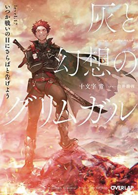 GRIMGAR OF FANTASY & ASH LIGHT NOVEL VOL 17