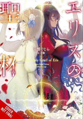 HOLY GRAIL OF ERIS LIGHT NOVEL SC VOL 03