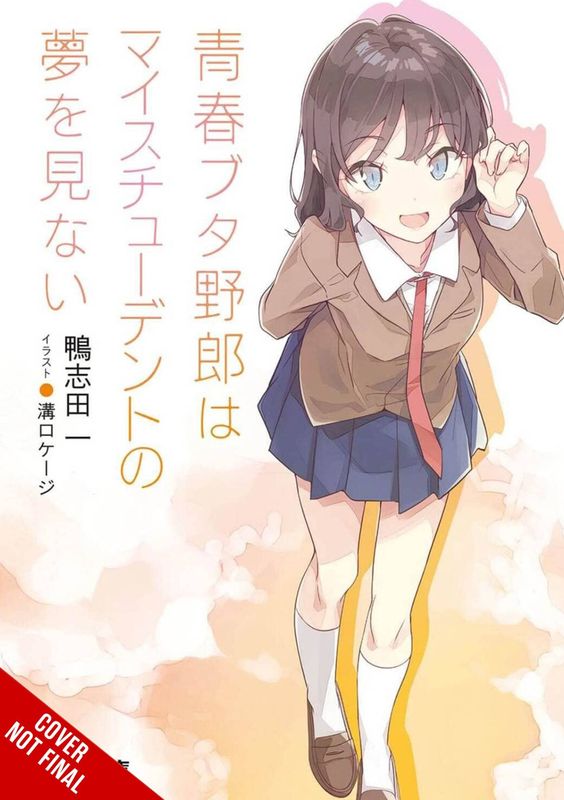RASCAL DOES NOT DREAM LIGHT NOVEL SC VOL 12