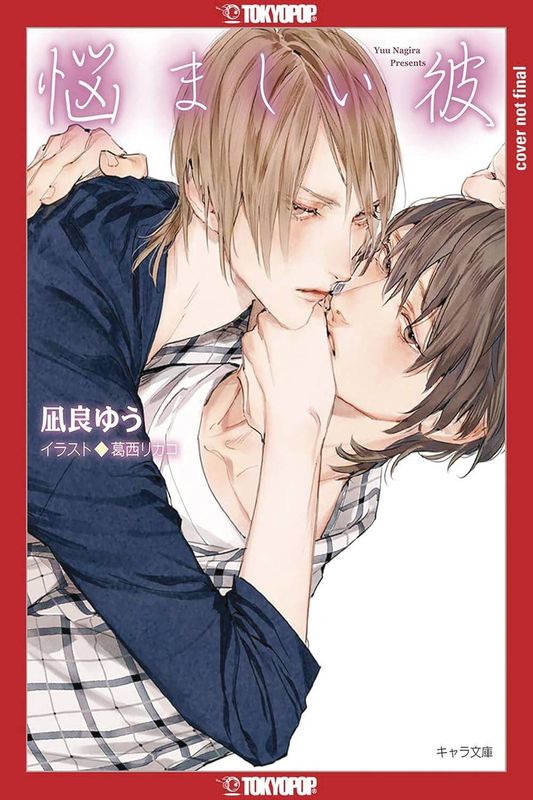 MY TROUBLESOME MAN LIGHT NOVEL SC VOL 03