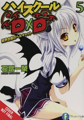 HIGH SCHOOL DXD LIGHT NOVEL SC VOL 05