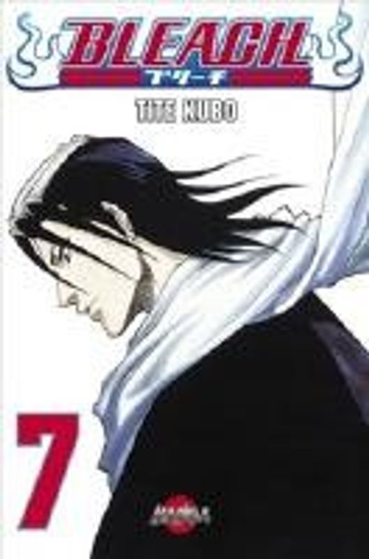 Bleach vol 7