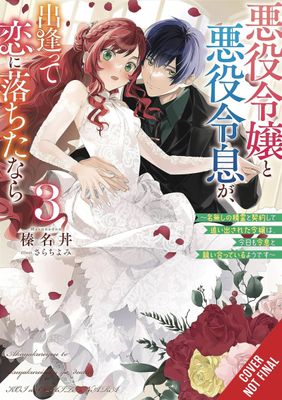 IF VILLAINESS & VILLAIN MET & FELL IN LOVE NOVEL SC VOL 03 (