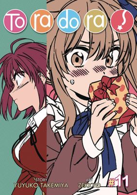 TORADORA GN VOL 11