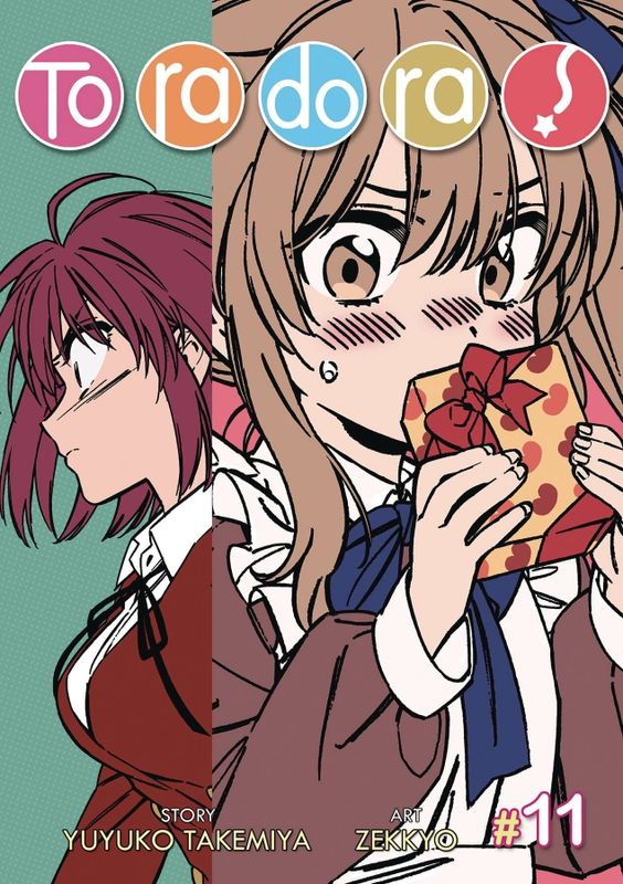 TORADORA GN VOL 11