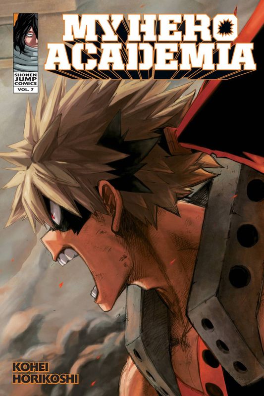 MY HERO ACADEMIA GN VOL 07