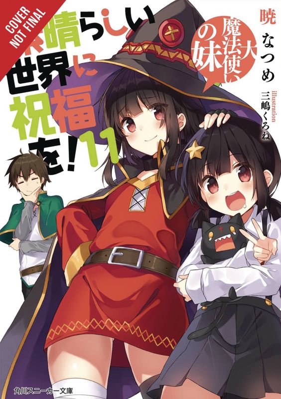 KONOSUBA LIGHT NOVEL SC VOL 11