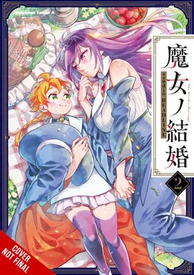 WITCHES MARRIAGE GN VOL 02