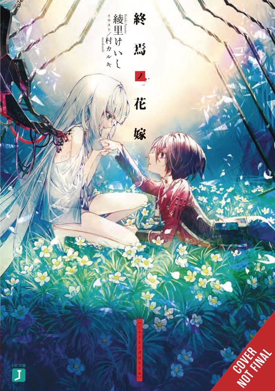 BRIDE OF DEMISE LIGHT NOVEL SC VOL 01