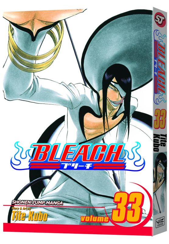 BLEACH GN VOL 33