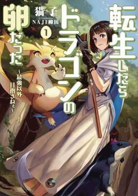 REINCARNATED AS A DRAGON HATCHLING LIGHT NOVEL SC VOL 01