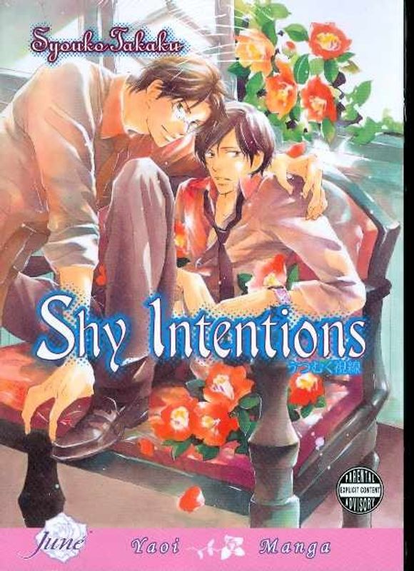 SHY INTENTIONS GN