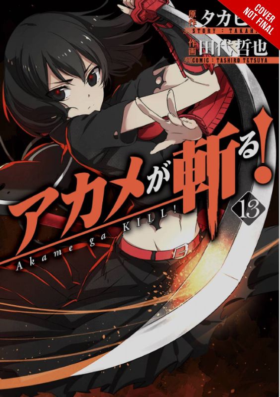 AKAME GA KILL GN VOL 13