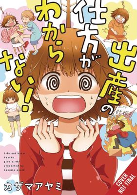 I DONT KNOW HOW TO GIVE BIRTH GN